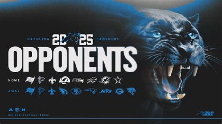 Charlotte Panthers Schedule 2015: A Comprehensive Analysis