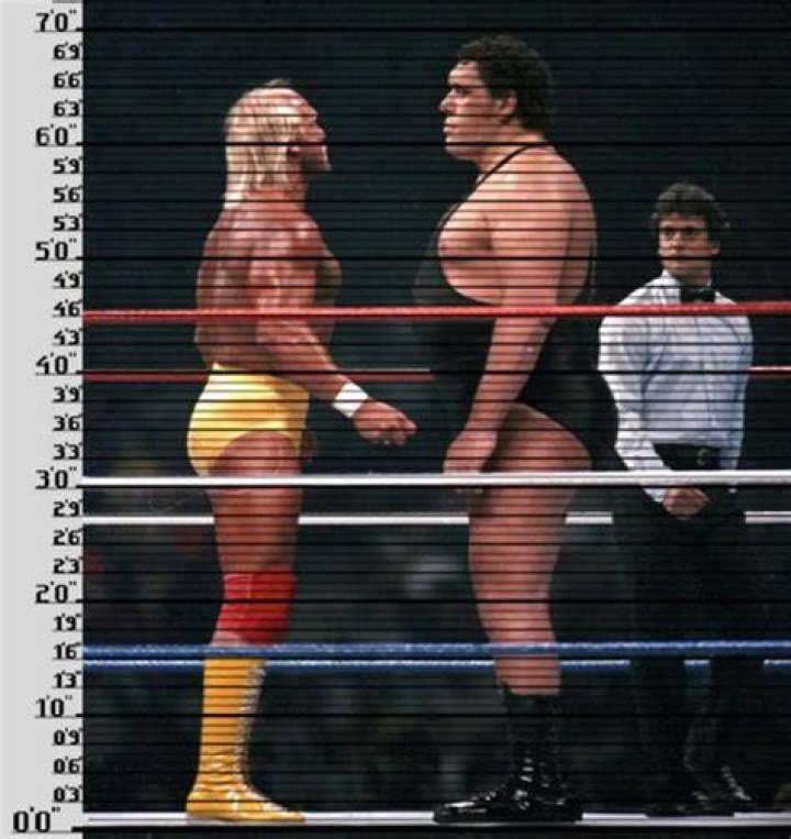 How Tall is Hulk Hogan? Discovering the Iconic Wrestler's Height and More